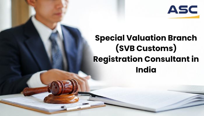 Special Valuation Branch (SVB Customs) Registration Consultant in India